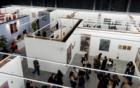 At Mexico City’s Material and Salón Acme fairs, artists find hope in nature