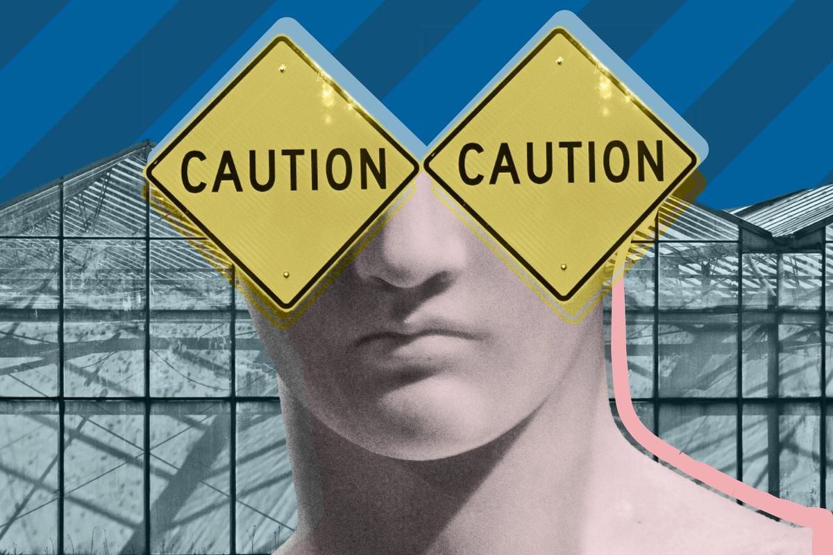 Illustration: © Katherine Hardy