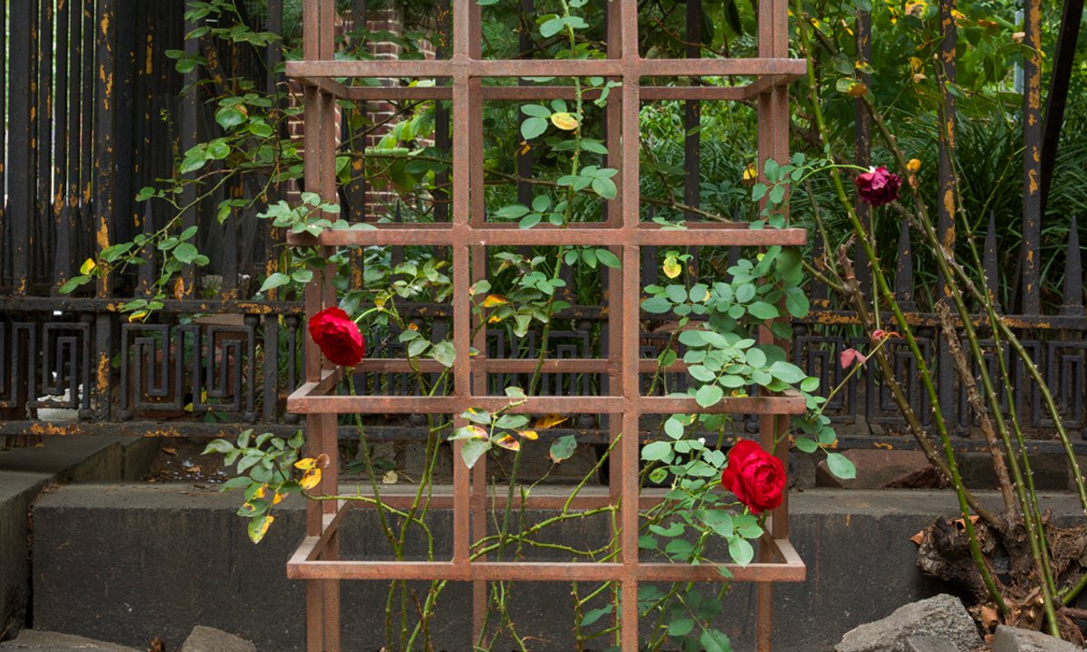 Gordon Matta-Clark’s caged rosebush, hidden in plain sight for 52 years, is marked and restored Gordon Matta-Clark’s caged rosebush, hidden in plain sight for 52 years, is marked and restored