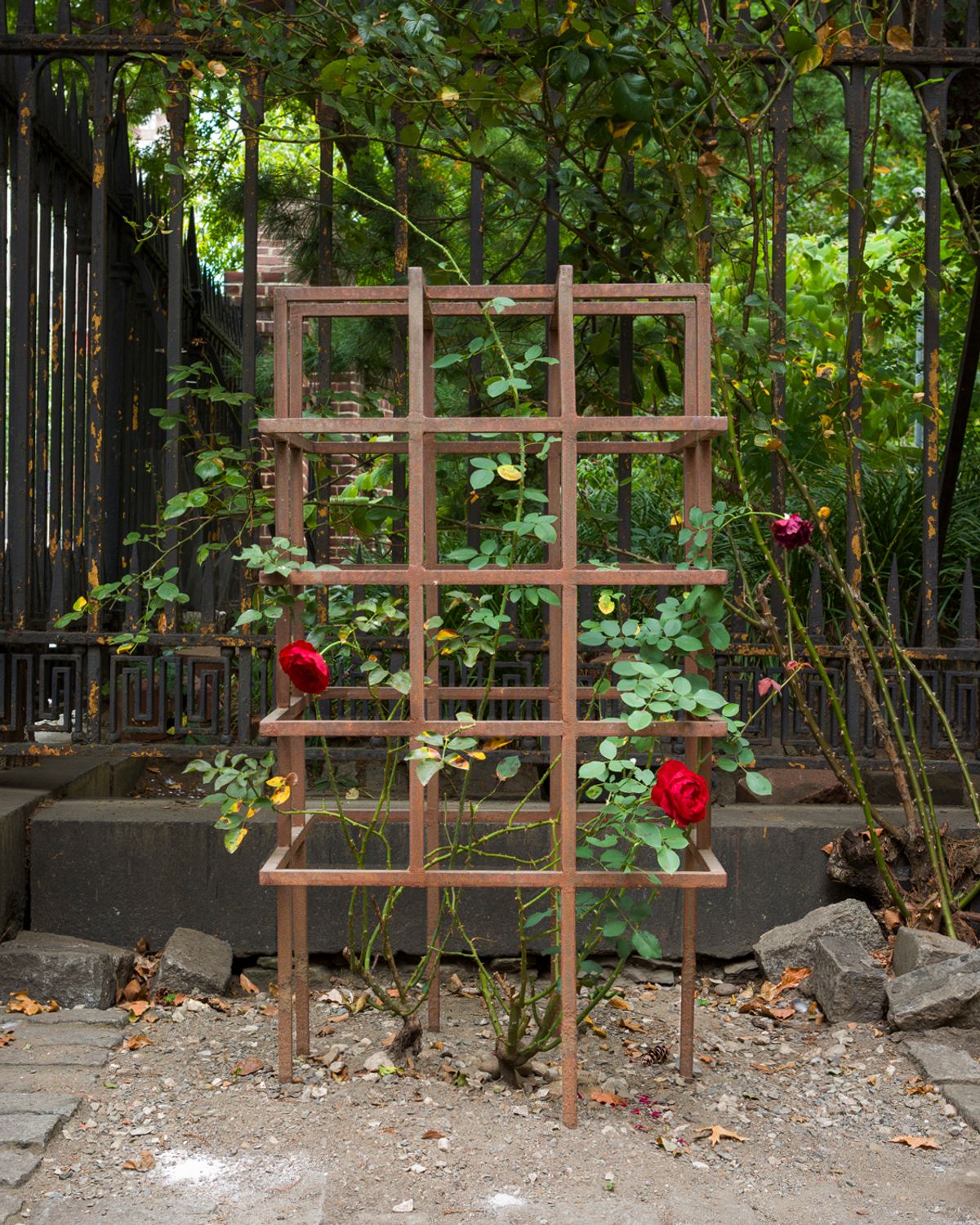 Located at St Mark’s Church in the East Village, the steel Rosebush (1972/2024) stood empty for years. It is believed to be the only existing work by the artist in an outdoor public space Photo: Daniel Pérez; Courtesy of Swiss Institute