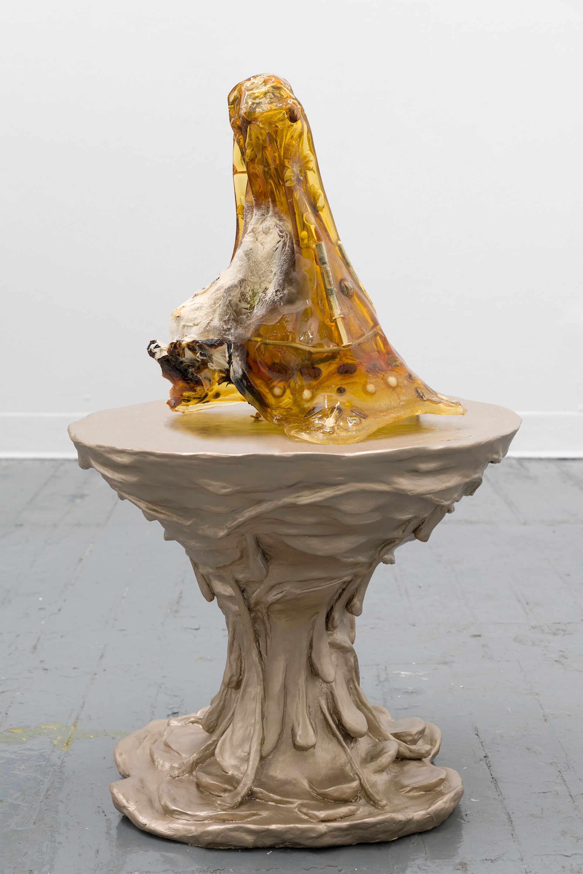 Sharona Franklin’s Mycoplasma Altar (2020) after decomposing for six months Courtesy the artist and King’s Leap. Photo: Stephen Faught