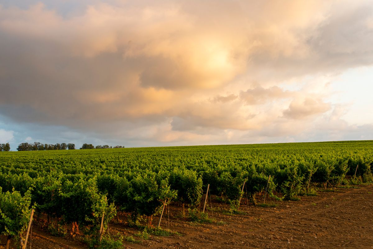 Golubitskoe Art Foundation is located at a winery on the Sea of Azov © Golubitskoe Art Foundation