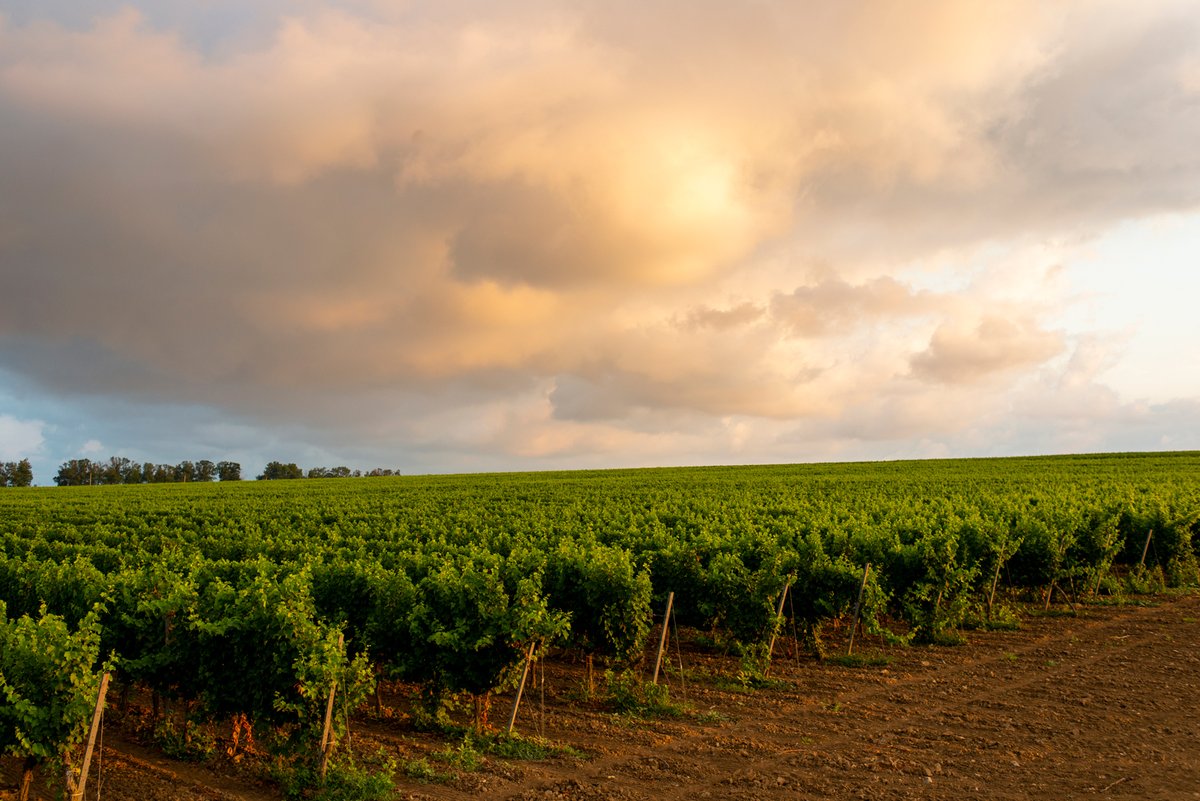 Golubitskoe Art Foundation is located at a winery on the Sea of Azov © Golubitskoe Art Foundation