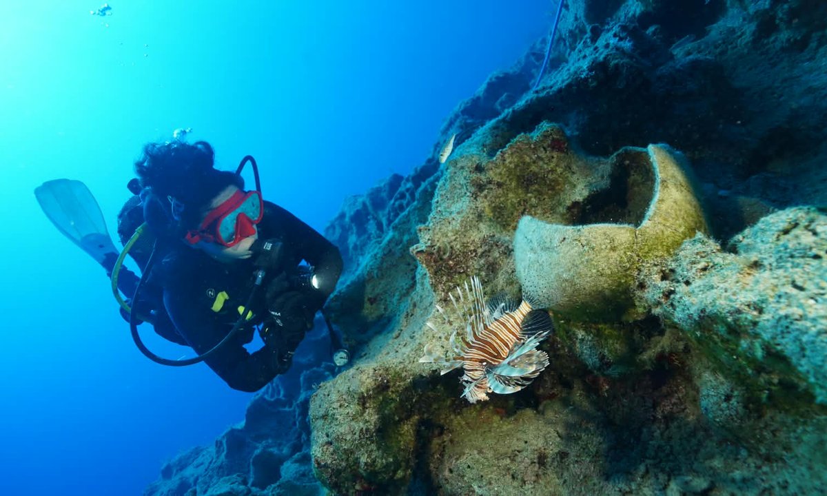 Pottery from Turkish seabed may mark world's oldest shipwreck, but the ship is gone