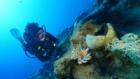 Ancient shipwreck found off Turkey may be the world’s oldest