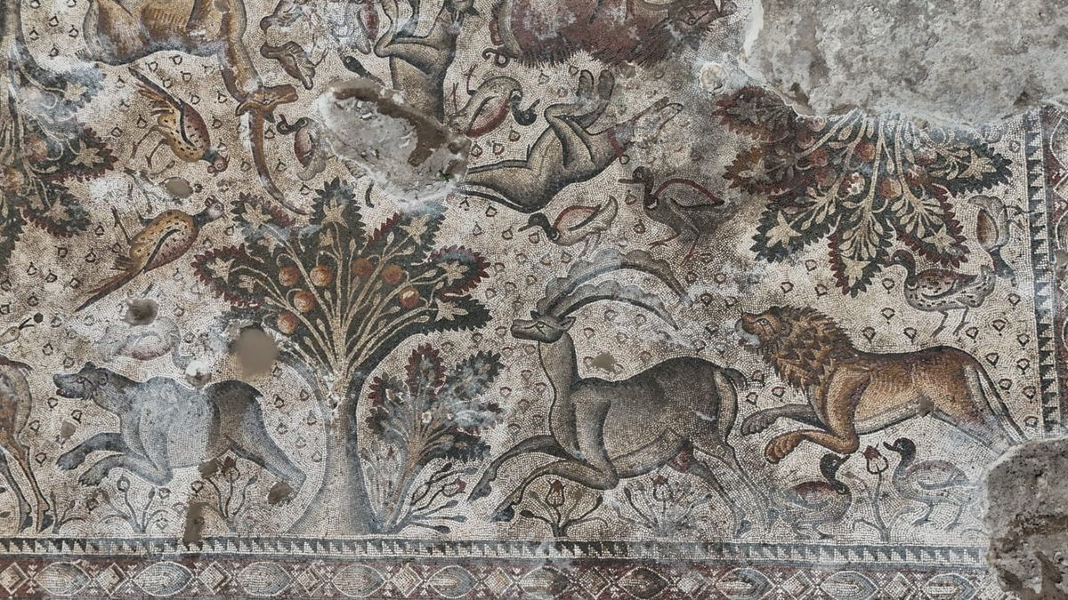 The mosaic chronicles a series of hunting scenes: a mountain goat is pursued by a lion, a stag flees a bear, the rare Anatolian leopard sinks its teeth into an ostrich’s neck, and snarling greyhounds corner a wild boar Elazığ Museum