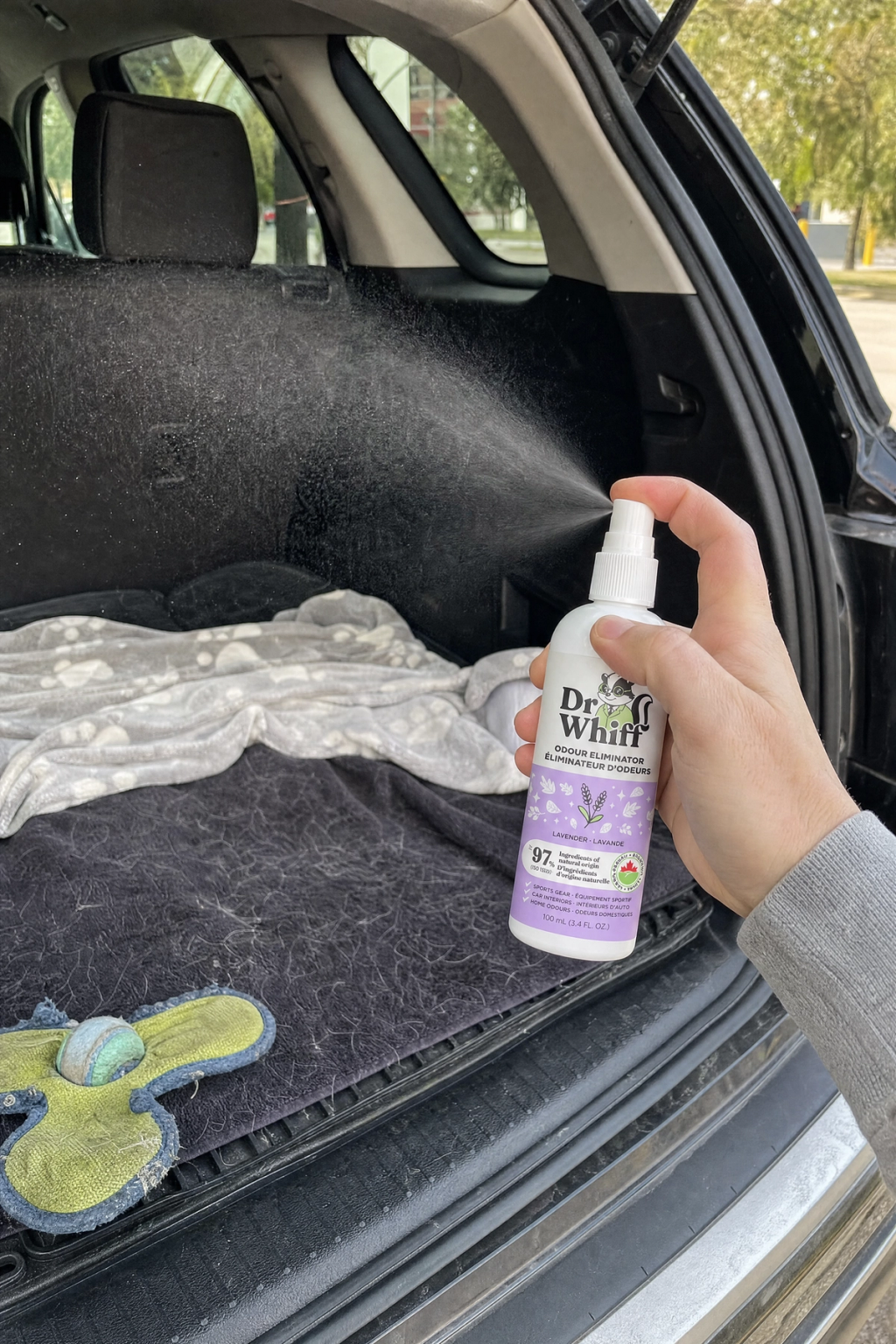 Trapped Trunk Odors