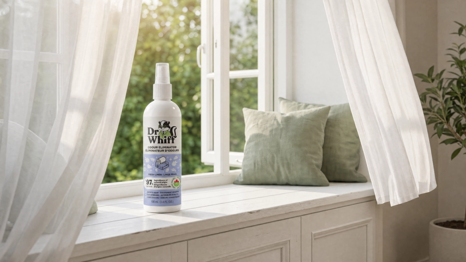 A bright room with open windows and fresh airflow clearing the air