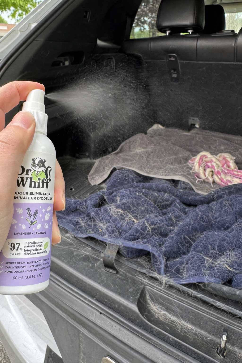 Trapped Trunk Odors
