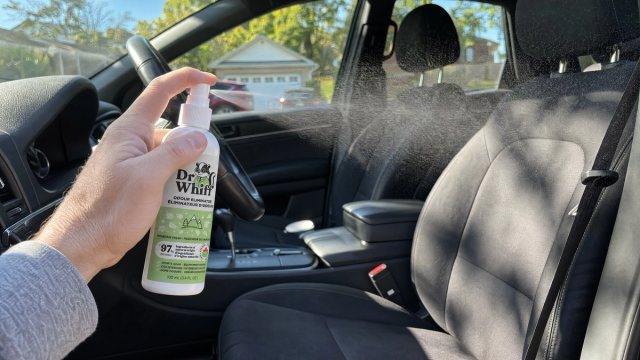 Clean, fresh car interior with sunlight coming through the windows