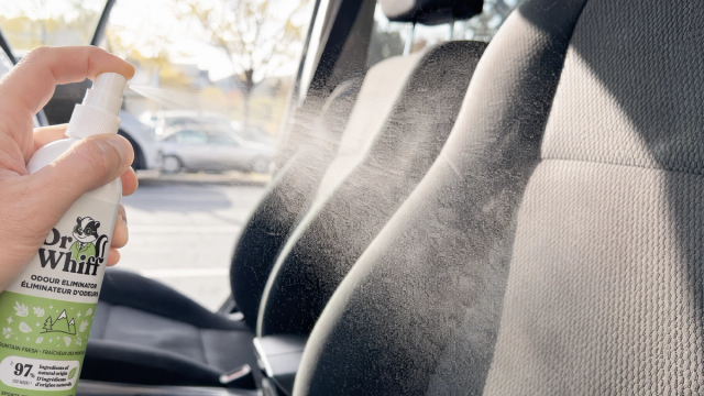 Clean, fresh car interior with sunlight coming through the windows