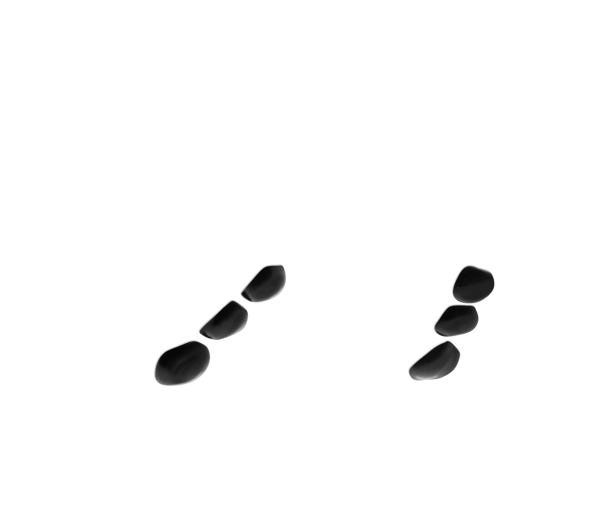 Black Pad