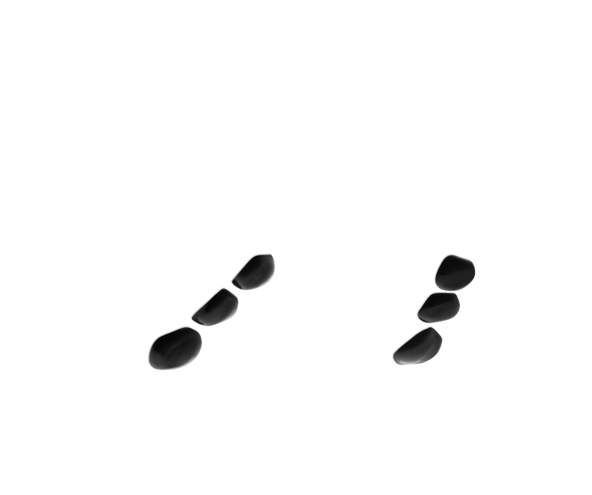 Black Pad