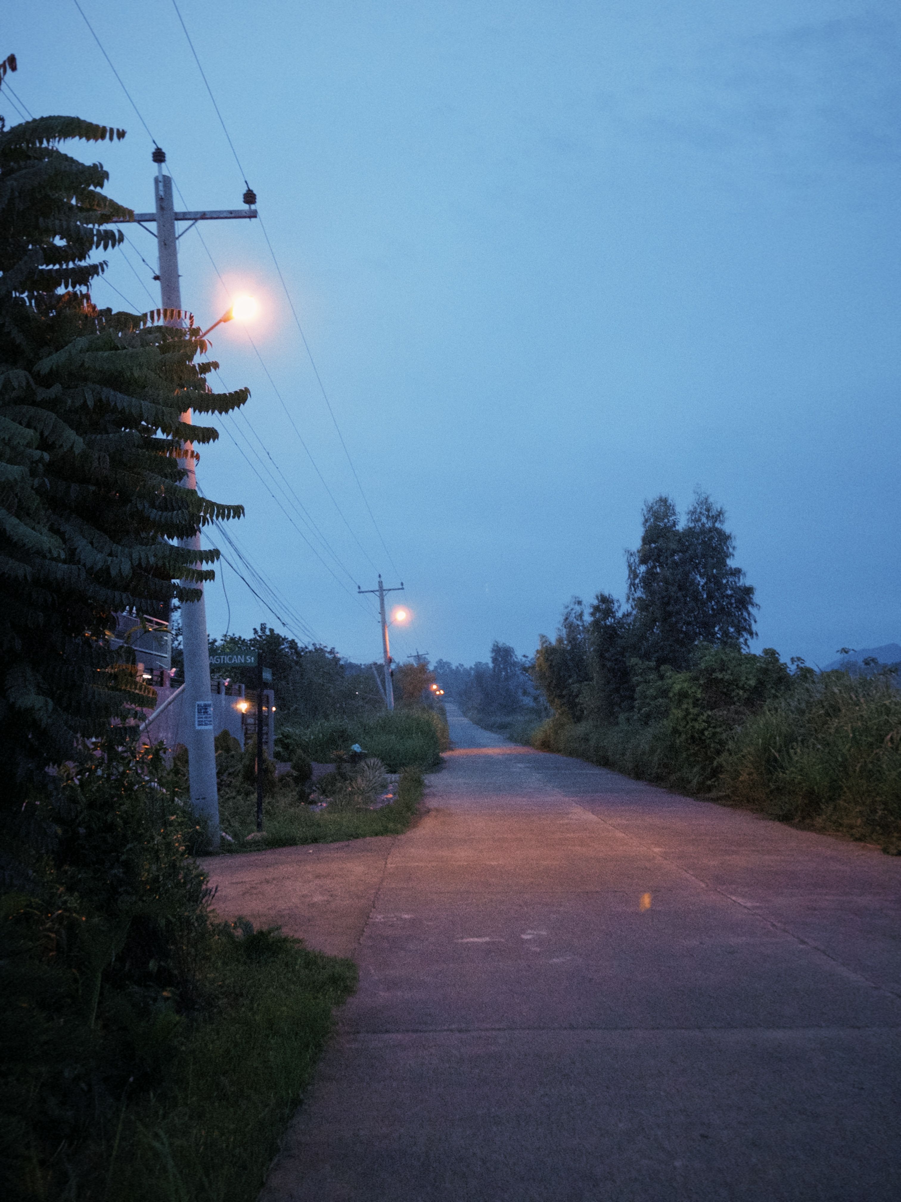 A nostalgic road to home