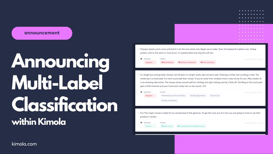 Announcing Multi-label Classification for Customer Feedback Analysis