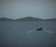 The shape, 420 metres out, a small dark mark on flat water