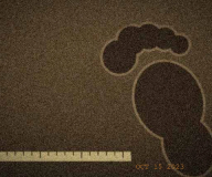 Footprint impression at the road shoulder, photographed the following morning