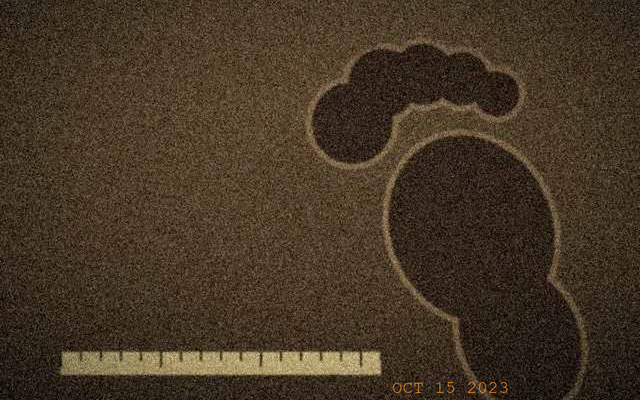 Footprint impression at the road shoulder, photographed the following morning