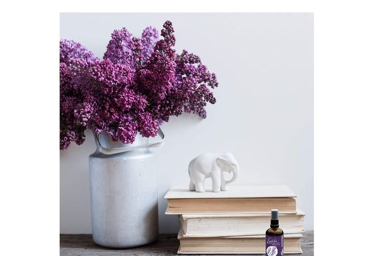Lavendelpflanze, Bücher und Kissenspray von Lavodia