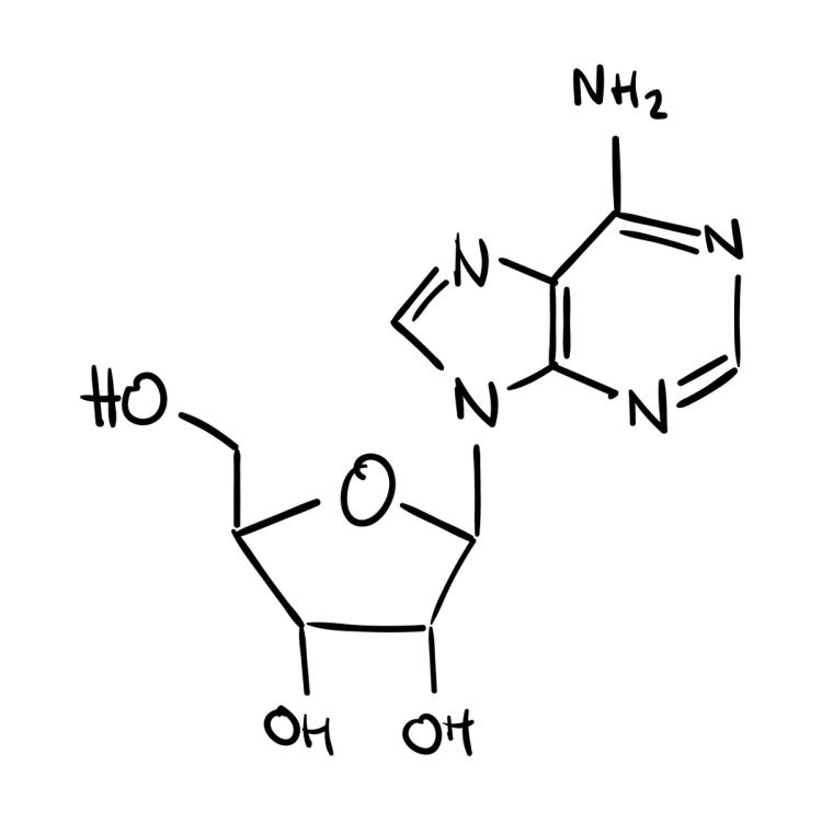 Adenosin: Der Sandmann im Körper