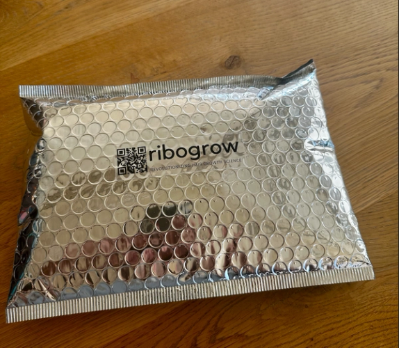 Versandverpackung ribogrow Hair Booster