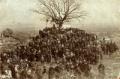 Large crowd gathered for a church feast near Telavi, photographed by Vasil Roinashvili.