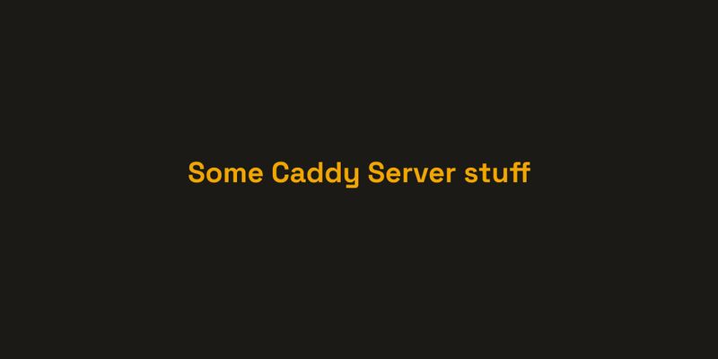 How to update caddy's new reverse proxy items