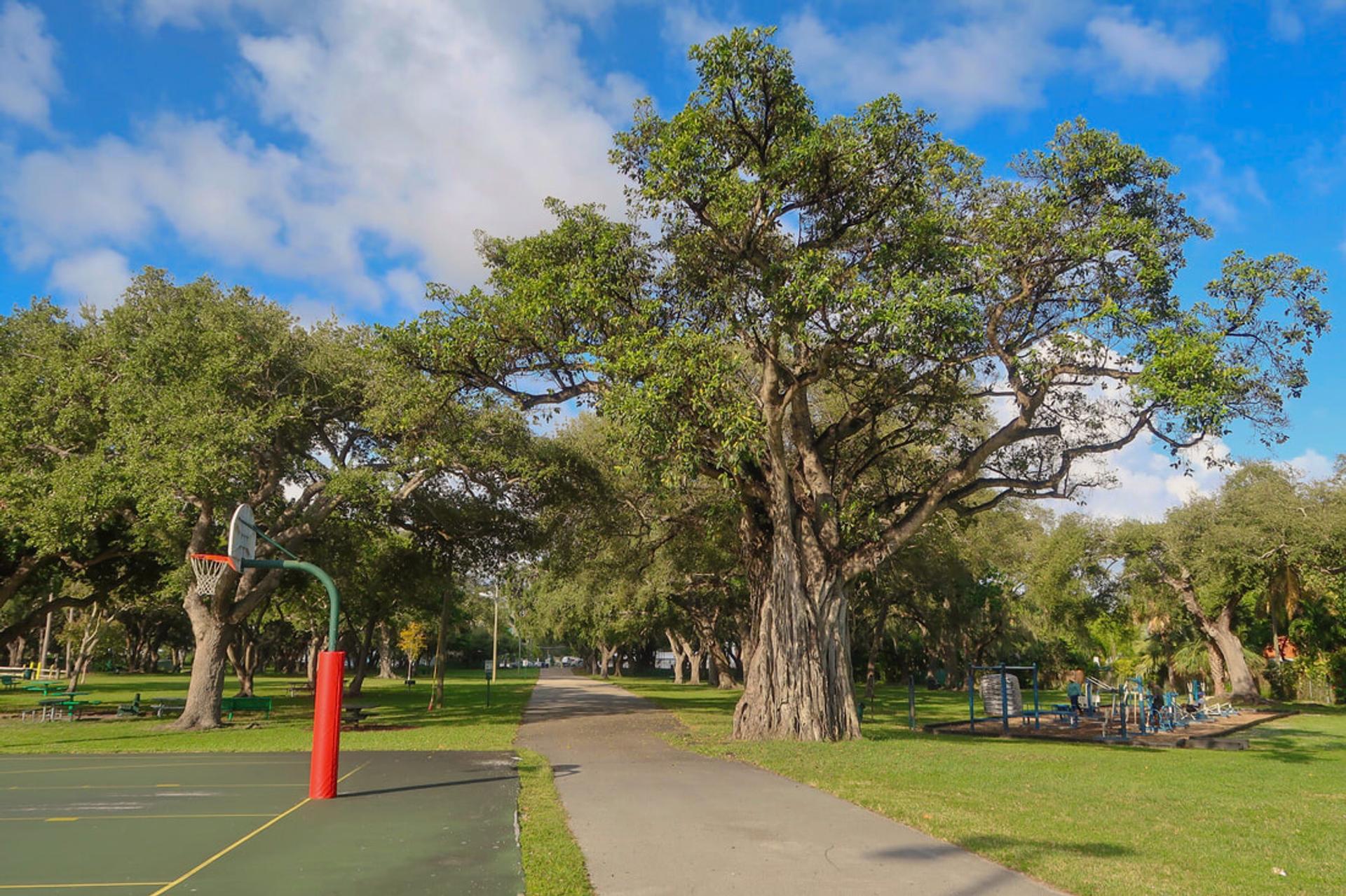 Legion Park