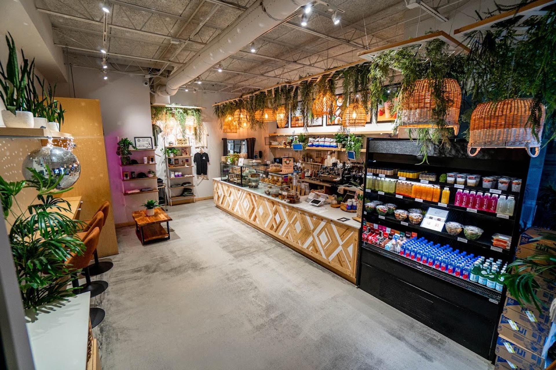 The Seed Coffee + Juice Bar