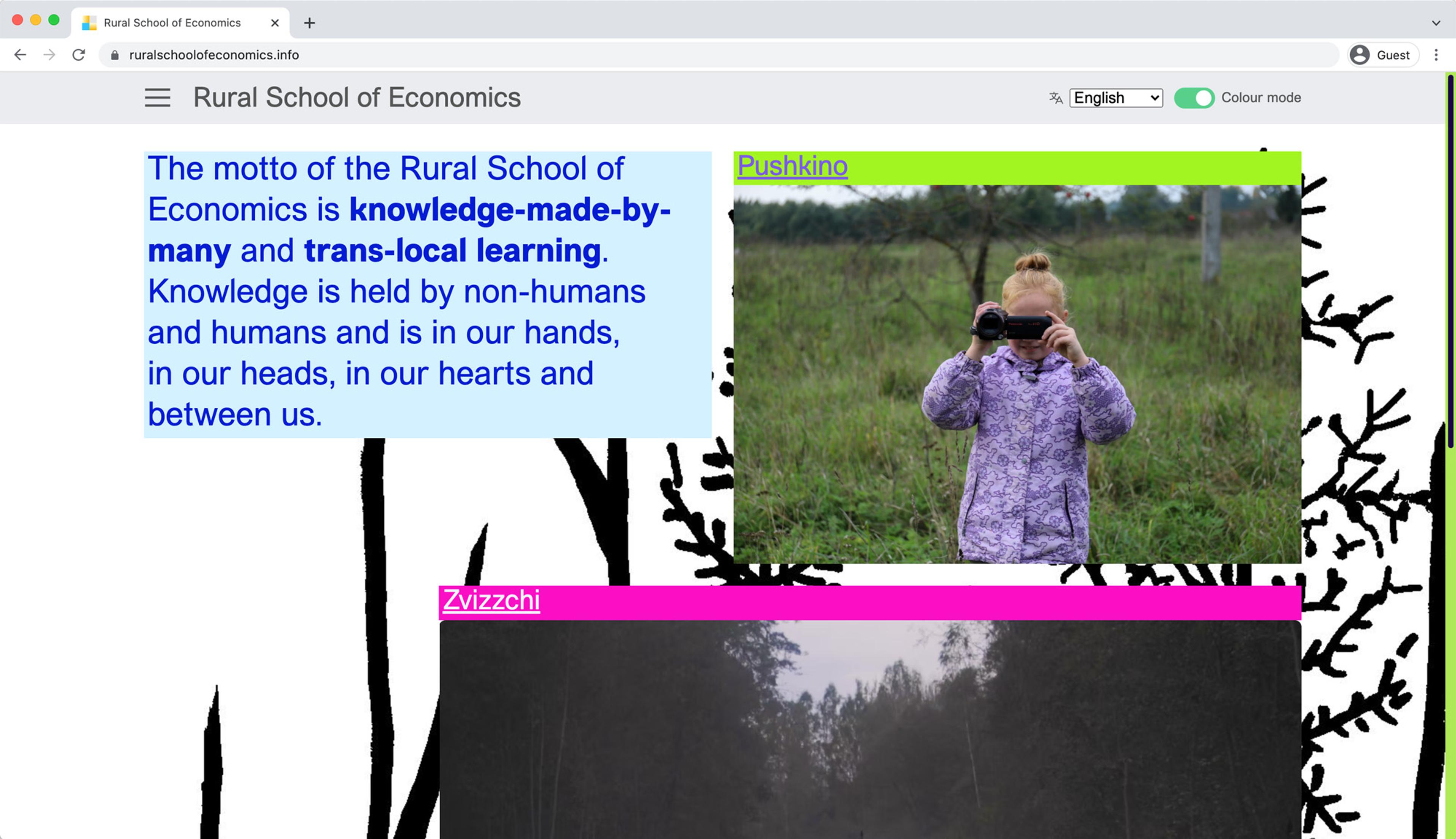 Screengrab of the Rural School of Economics homepage