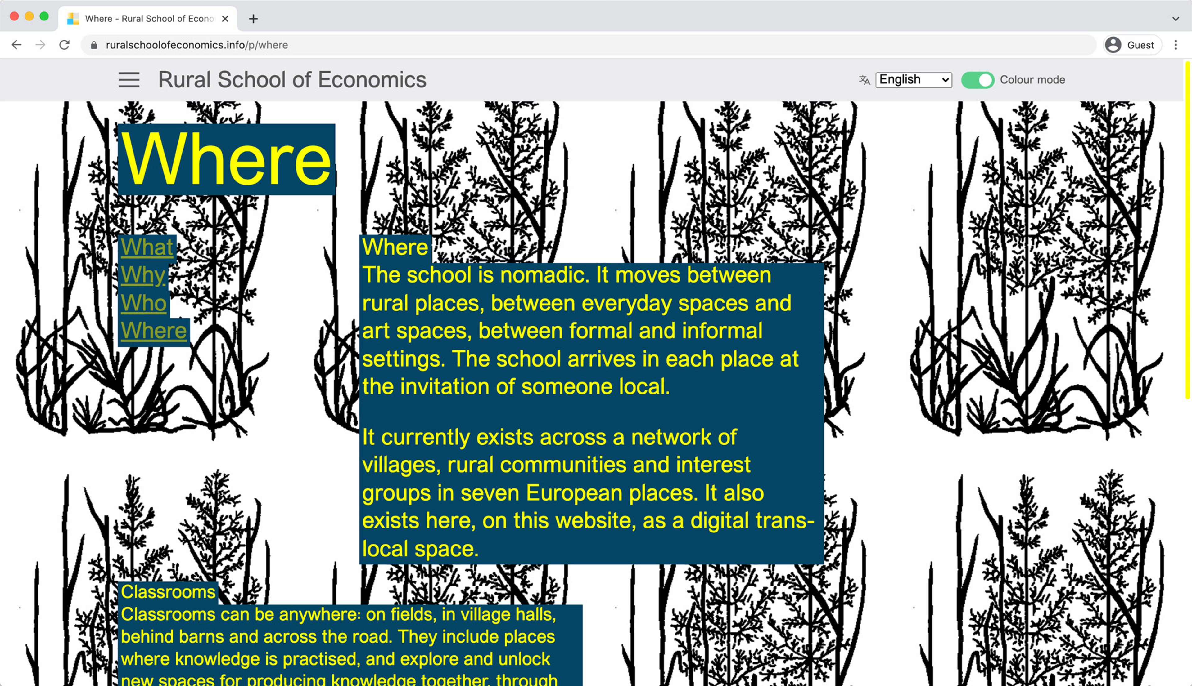 Screengrab of the Rural School of Economics where page. It includes a repeat background image of a drawing with text modules overlaid