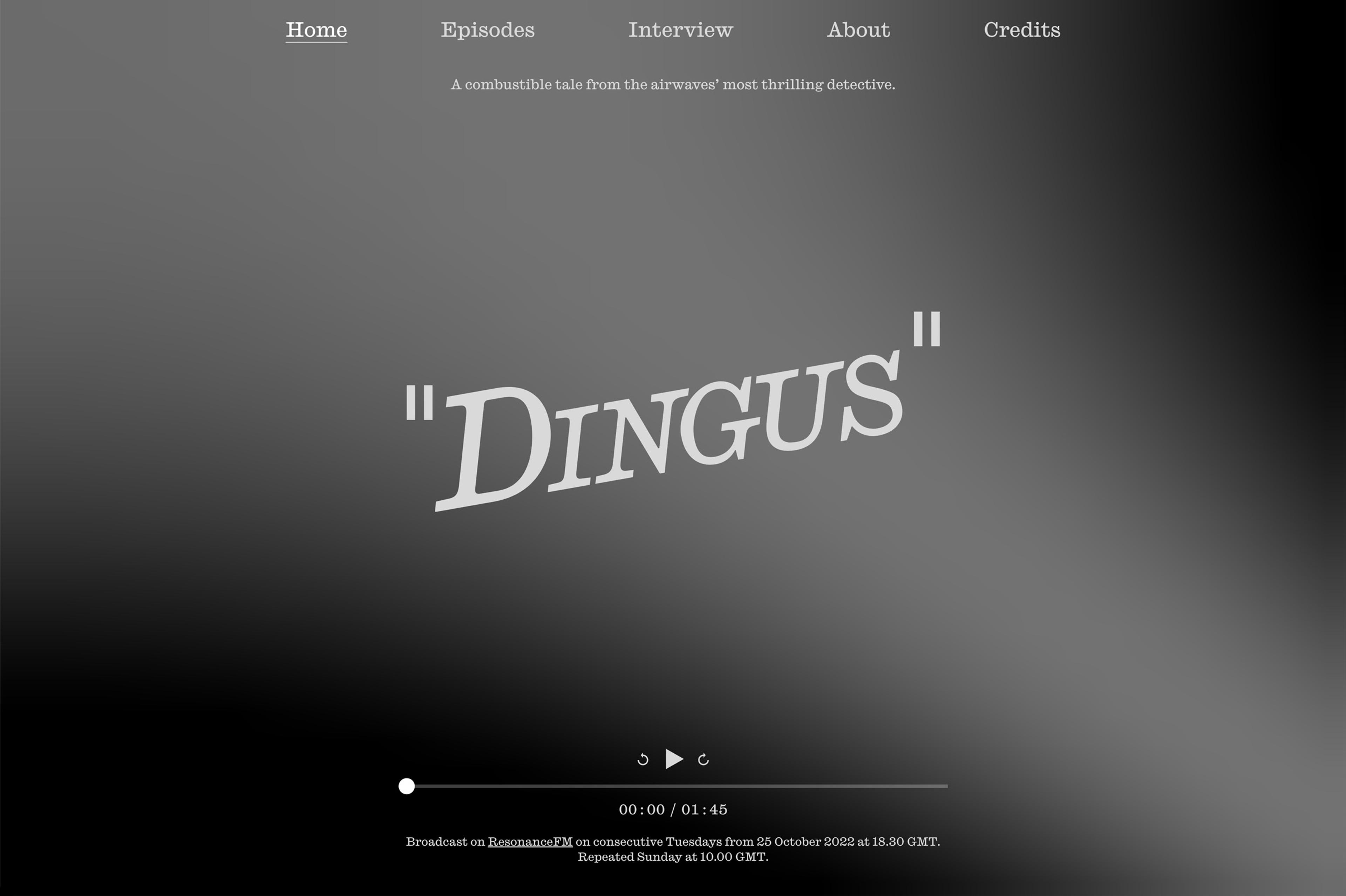 A screengrab from the Dingus homepage. The title 'Dingus' is set in white uppercase letters at an upwards angle on a smokey grey-black background