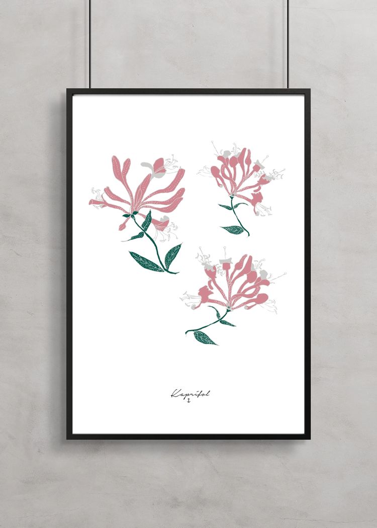 Secondary product image for "Poster Kaprifol"
