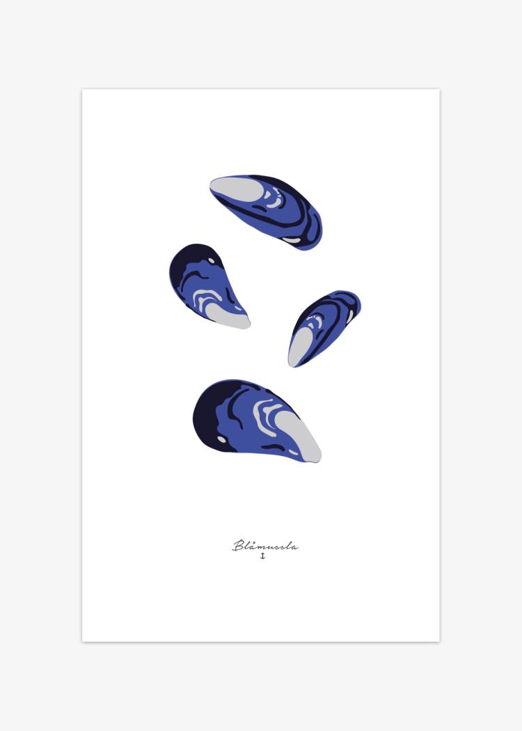 Secondary product image for "Poster Blåmussla"