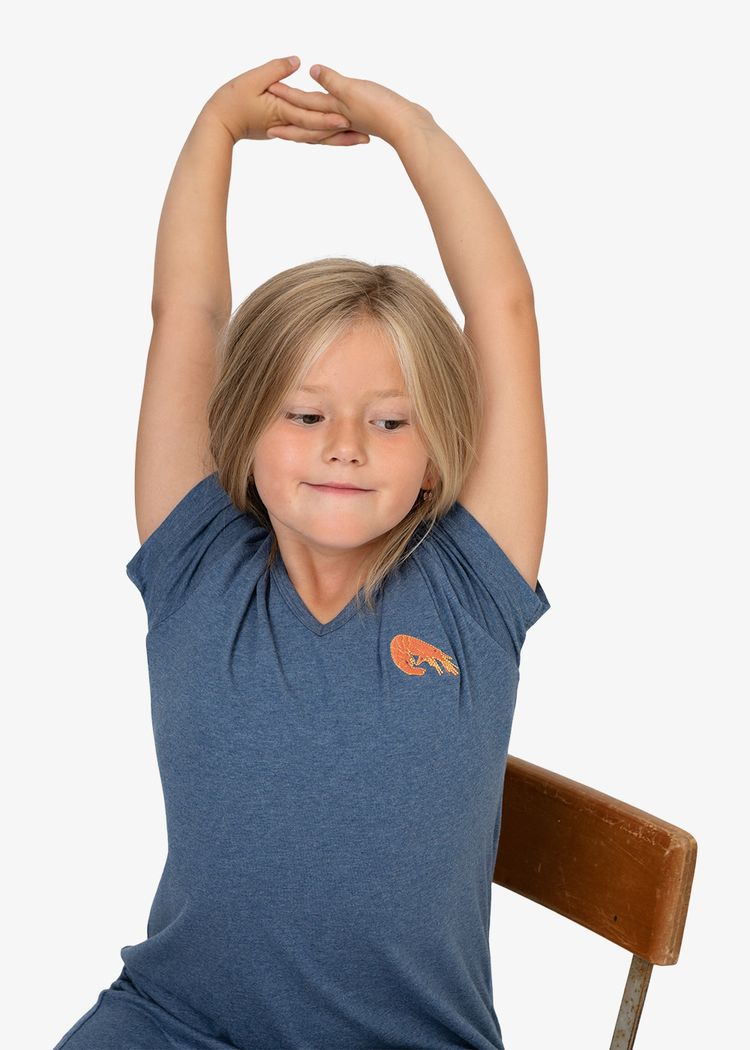 Secondary product image for "Hannis Klänning Räka Blå"