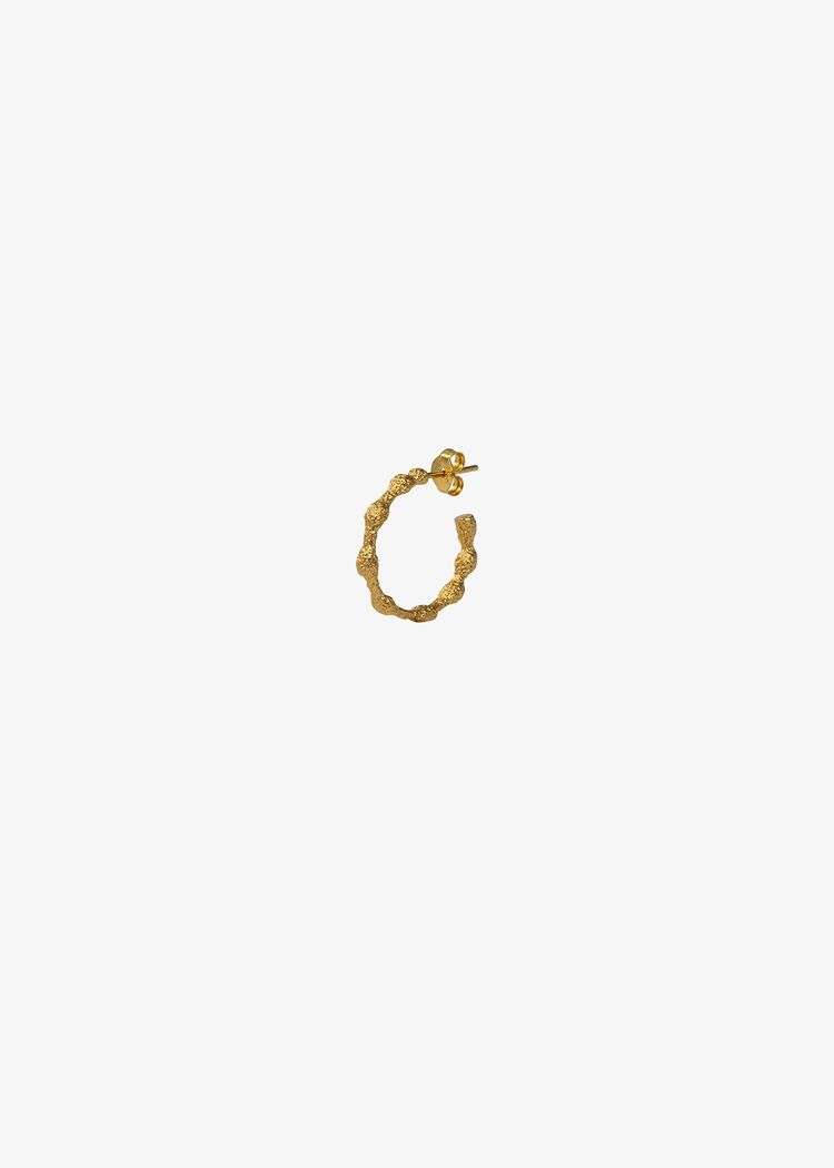 Secondary product image for "Örhänge Tång Guld"