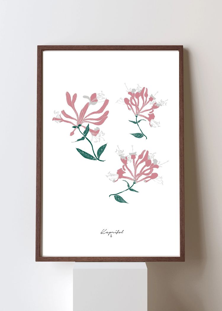 Secondary product image for "Poster Kaprifol"