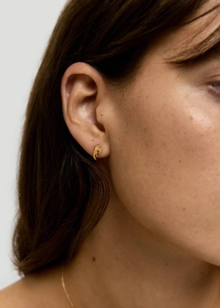 Secondary product image for "Örhänge Räka Guld"