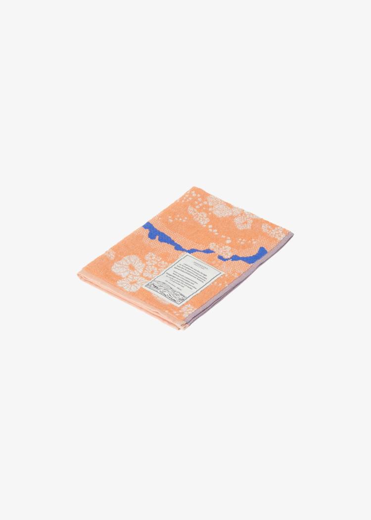 Secondary product image for "Guest Towel Sockertång Peach"