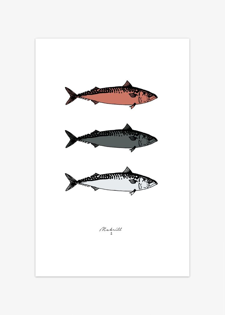 Secondary product image for "Poster Makrill Multi"