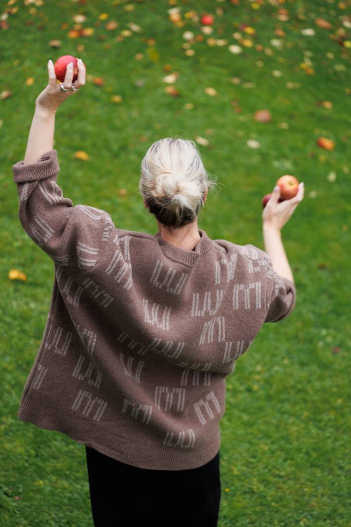 Secondary product image for "EM Knitted Sweater Beige"