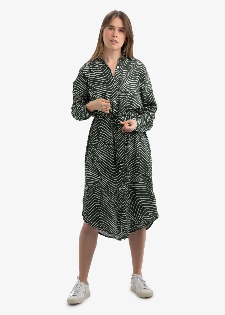 Secondary product image for "Irma Shirt Dress Salmon Green"