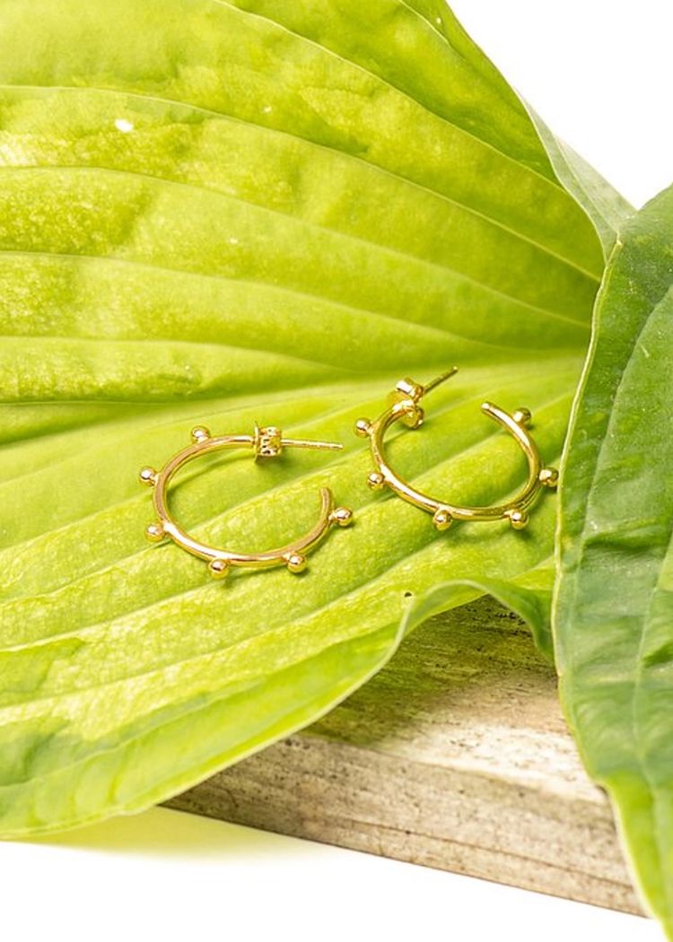 Secondary product image for "Örhänge Cirkel Ploppar Guld"