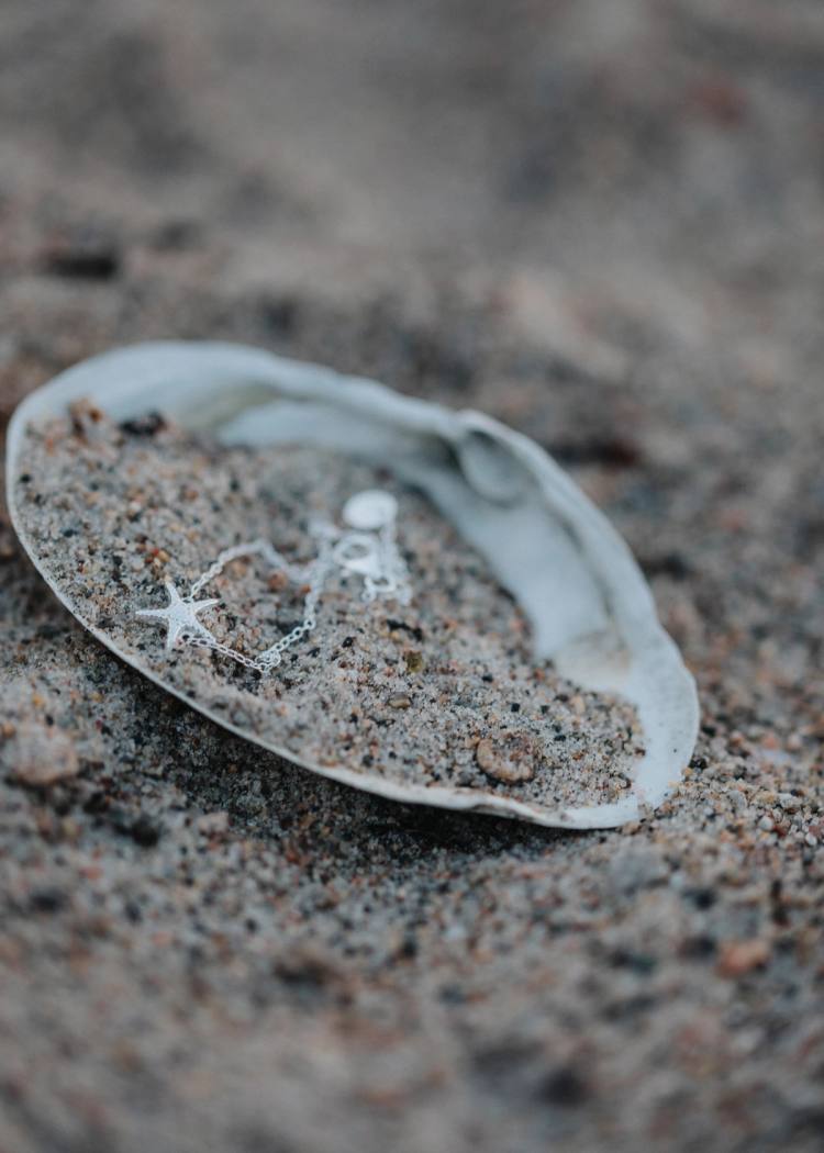 Secondary product image for "Bracelet Starfish Silver"