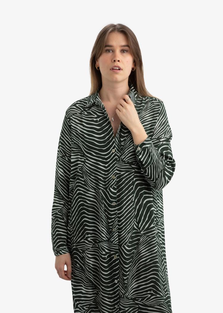 Secondary product image for "Irma Shirt Dress Salmon Green"