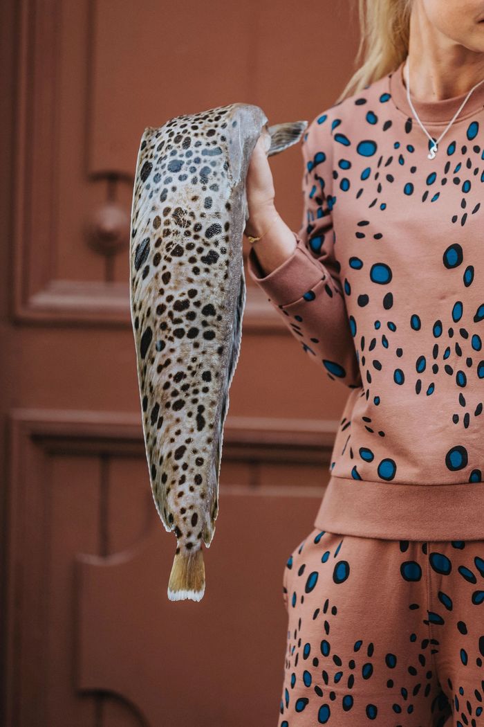Secondary product image for "Violette Sweater Catfish Brown"