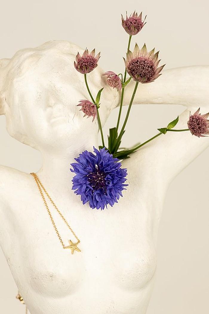 Secondary product image for "Necklace Starfish Gold"