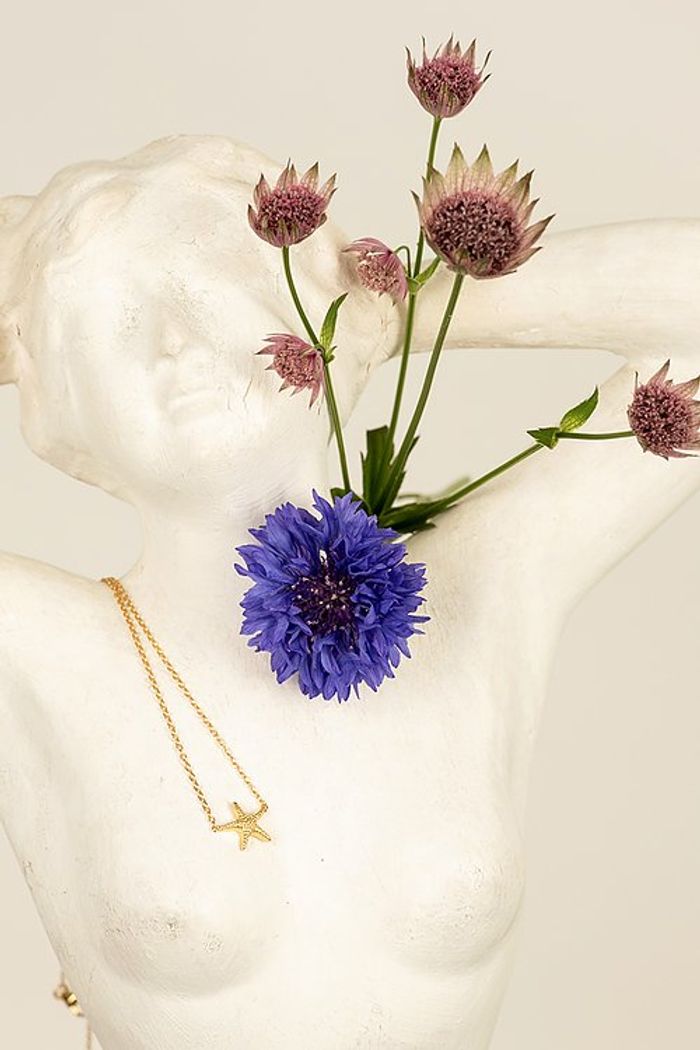 Secondary product image for "Halsband Sjöstjärna Guld"