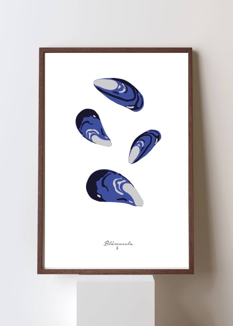 Secondary product image for "Poster Blåmussla"