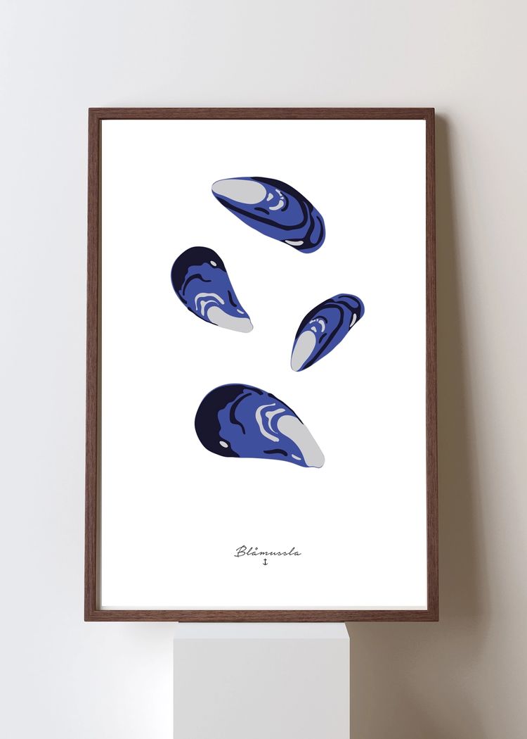 Secondary product image for "Poster Blåmussla"